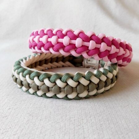 Swift Paracord Dog Collar - Founder's Edition